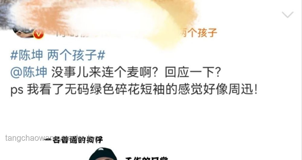 陈坤发文背后的家庭教育与社会影响深度剖析：代际成长与公众形象塑造